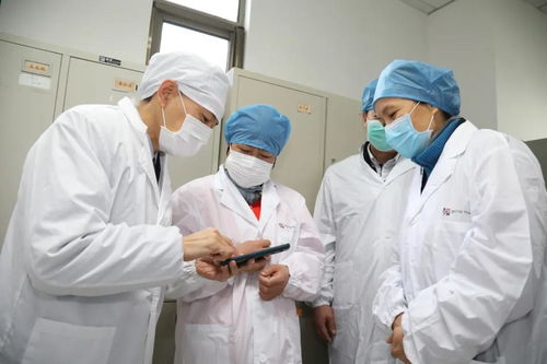 打造长三角生物医药产业新高地，赵惠琴走访调研生物医药企业
